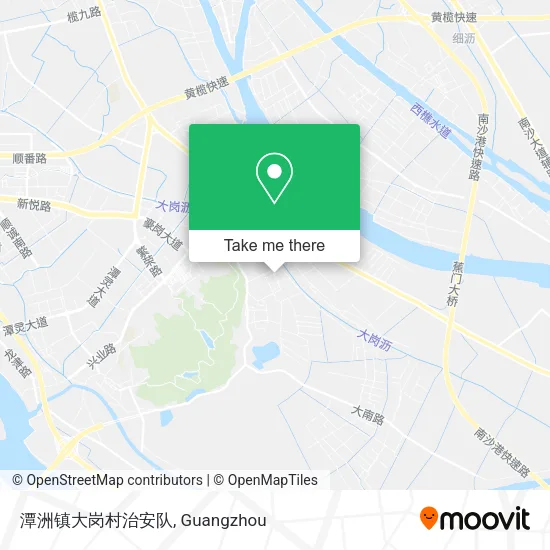 潭洲镇大岗村治安队 map