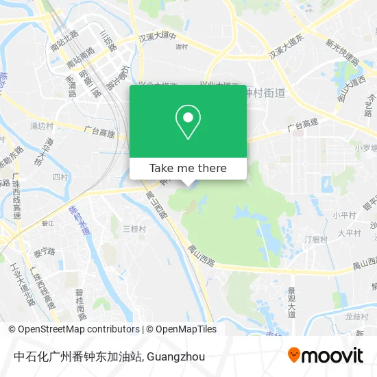中石化广州番钟东加油站 map