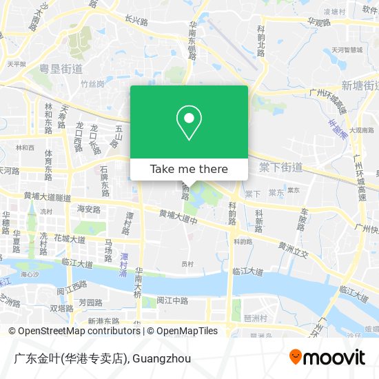 广东金叶(华港专卖店) map