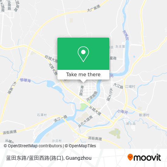蓝田东路/蓝田西路(路口) map