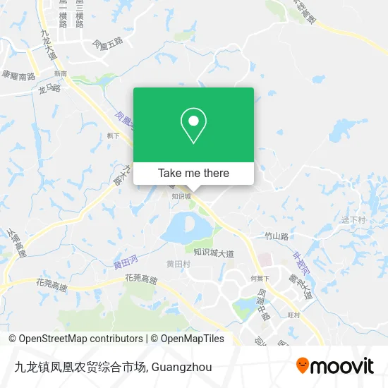 九龙镇凤凰农贸综合市场 map