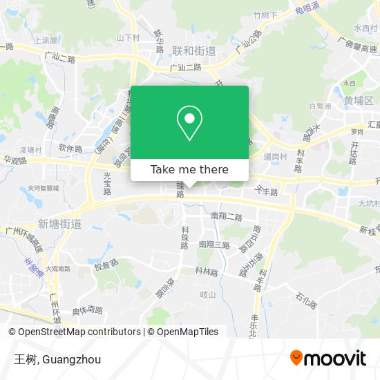 王树 map
