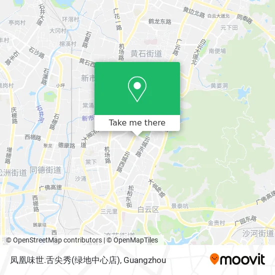 凤凰味世.舌尖秀(绿地中心店) map