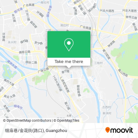 细庙巷/金花街(路口) map