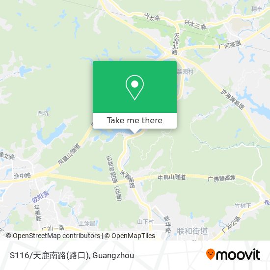S116/天鹿南路(路口) map