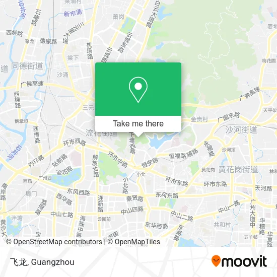 飞龙 map