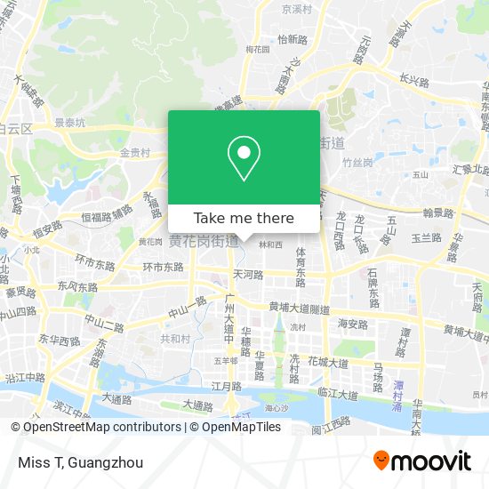 Miss T map