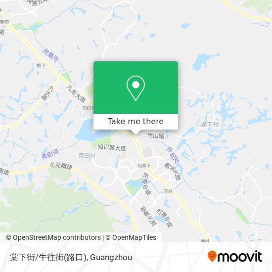 棠下街/牛往街(路口) map