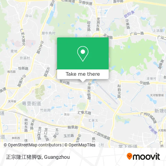 正宗隆江猪脚饭 map