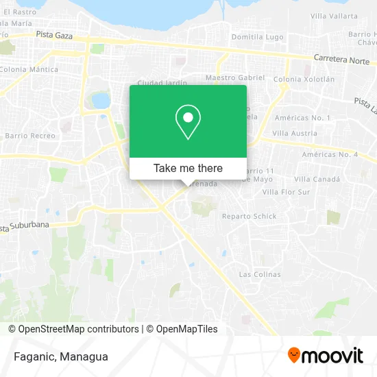 Faganic map