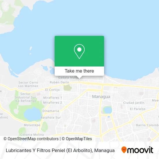 Lubricantes Y Filtros Peniel (El Arbolito) map