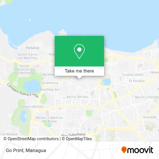 Go Print map
