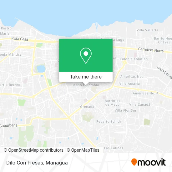 Dilo Con Fresas map