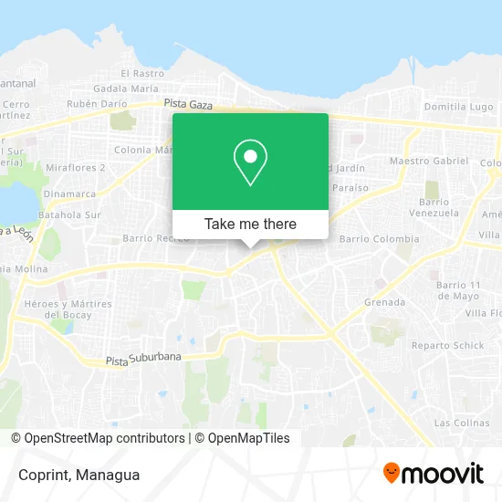 Coprint map