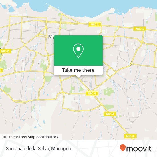 San Juan de la Selva, Camino de Oriente Distrito I, Managua map