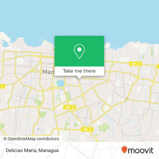 Delicias Maria, 17 Pasaje SE Distrito IV, Managua map