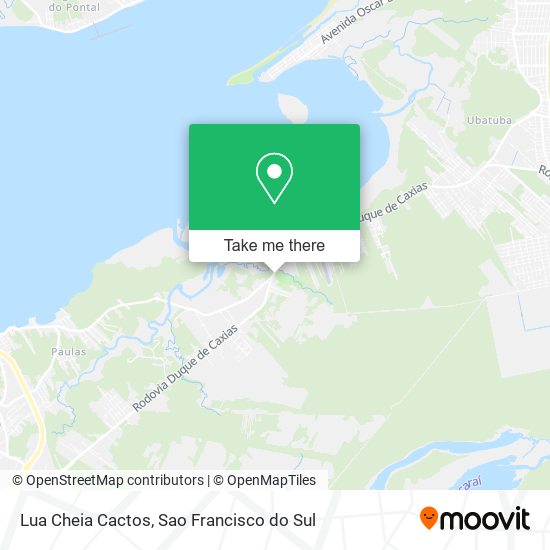 Lua Cheia Cactos map
