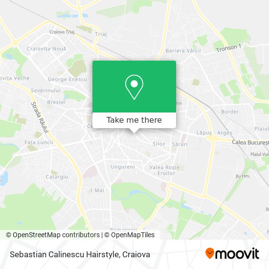 Sebastian Calinescu Hairstyle map