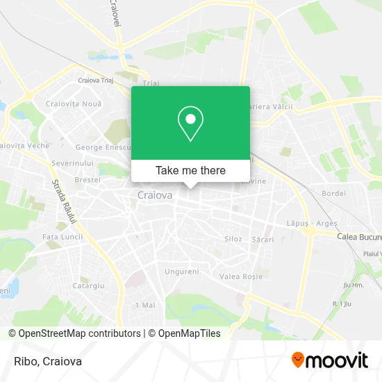 Ribo map