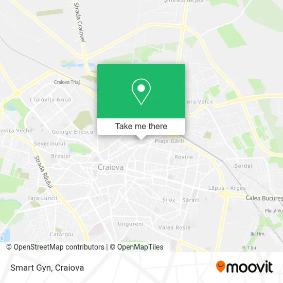 Smart Gyn map