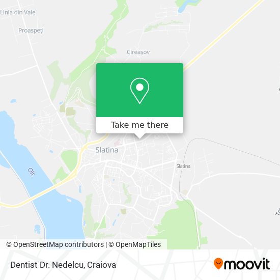 Dentist Dr. Nedelcu map