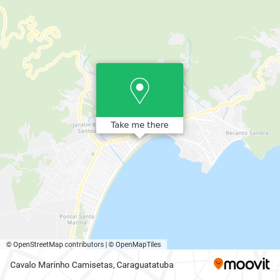 Mapa Cavalo Marinho Camisetas