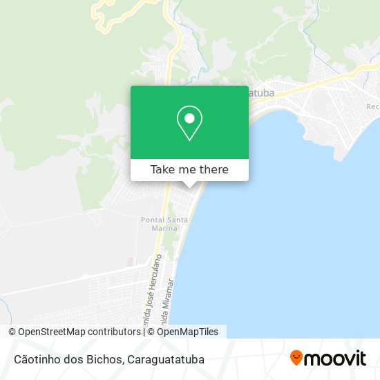 Mapa Cãotinho dos Bichos