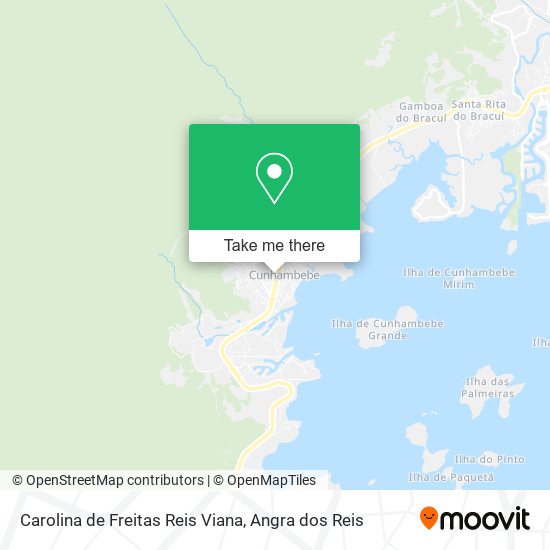 Mapa Carolina de Freitas Reis Viana