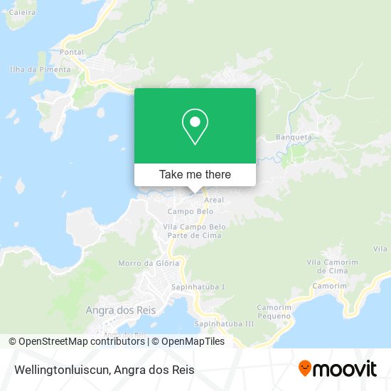 Wellingtonluiscun map