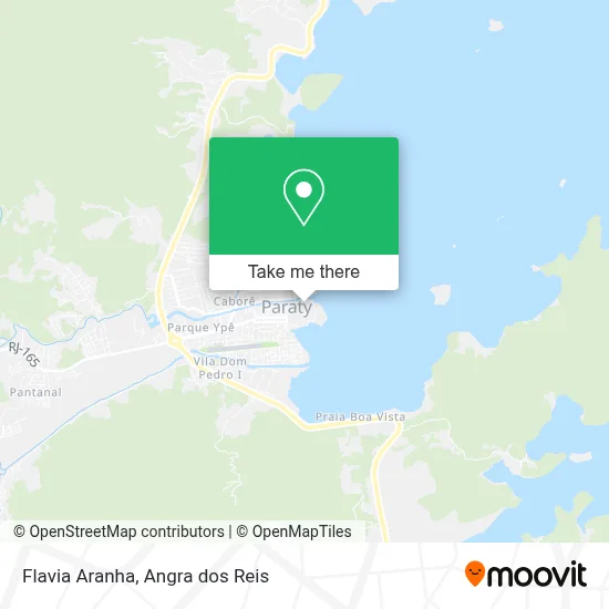 Flavia Aranha map