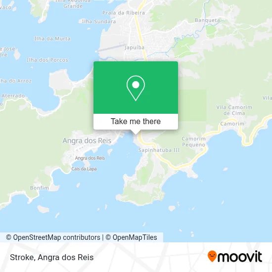 Stroke map
