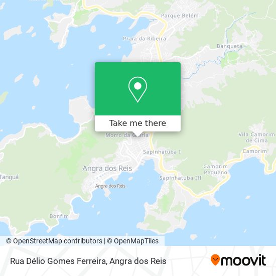 Mapa Rua Délio Gomes Ferreira