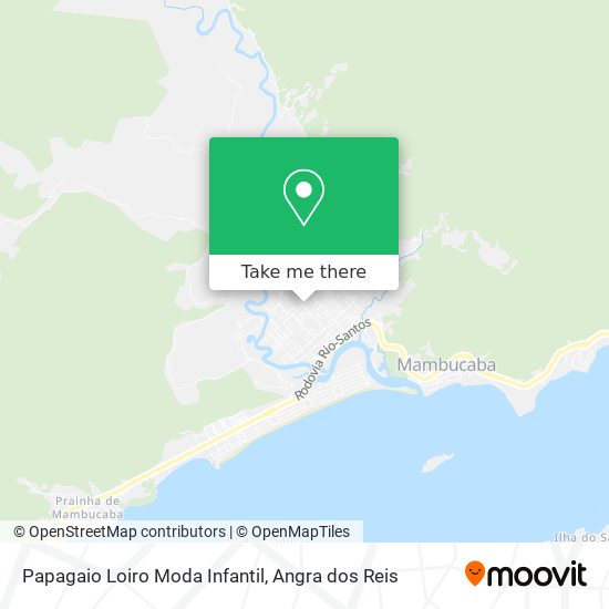 Papagaio Loiro Moda Infantil map