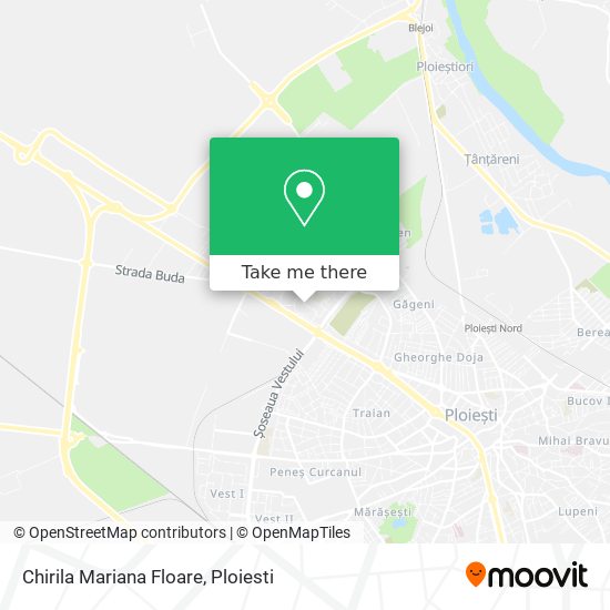 Chirila Mariana Floare map