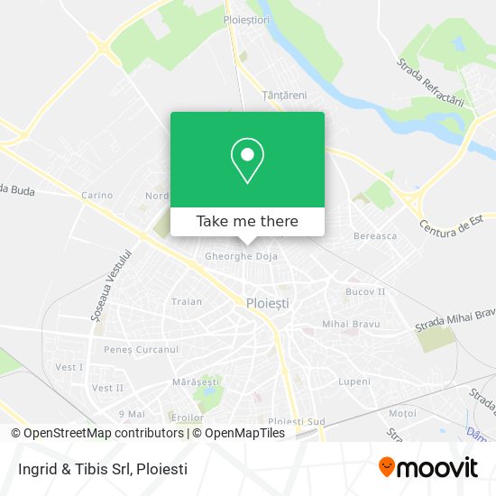 Ingrid & Tibis Srl map