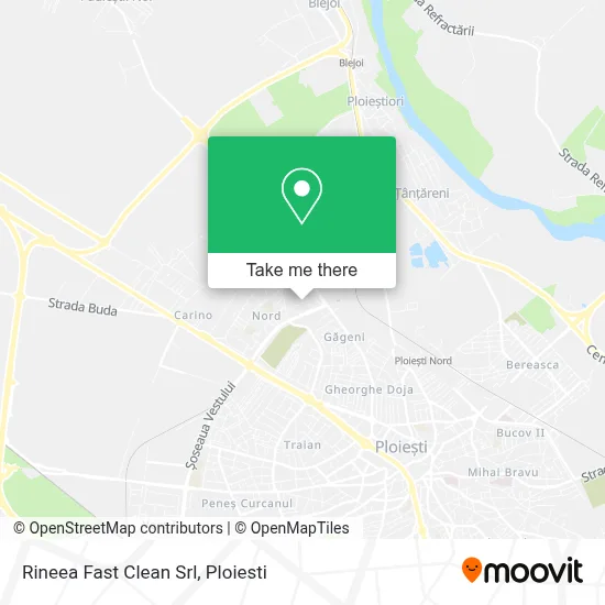 Rineea Fast Clean Srl map