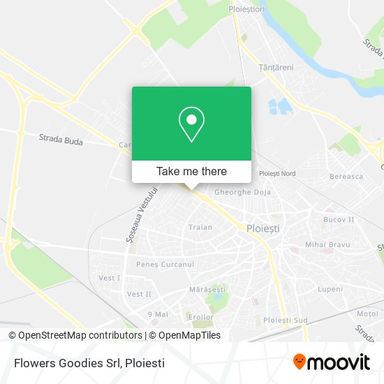 Flowers Goodies Srl map