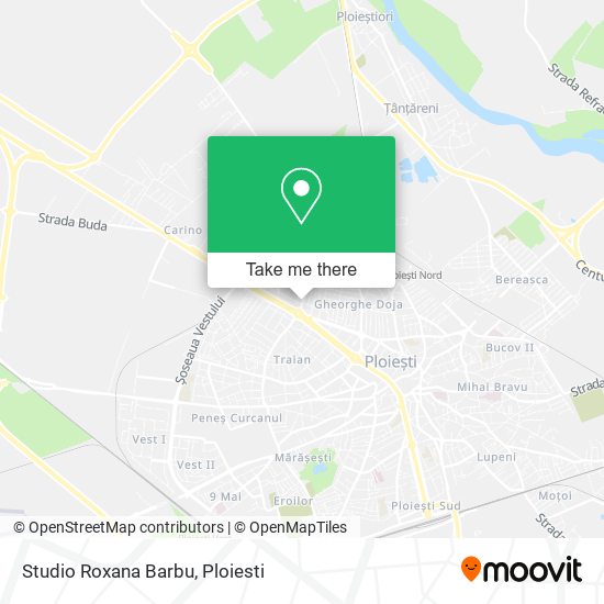 Studio Roxana Barbu map