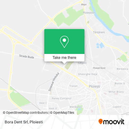 Bora Dent Srl map