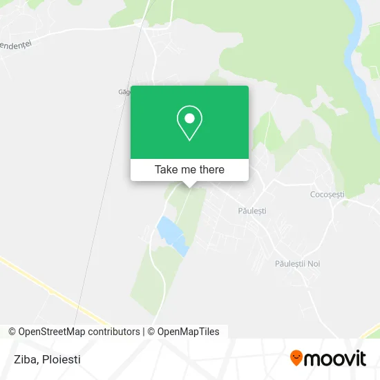 Ziba map