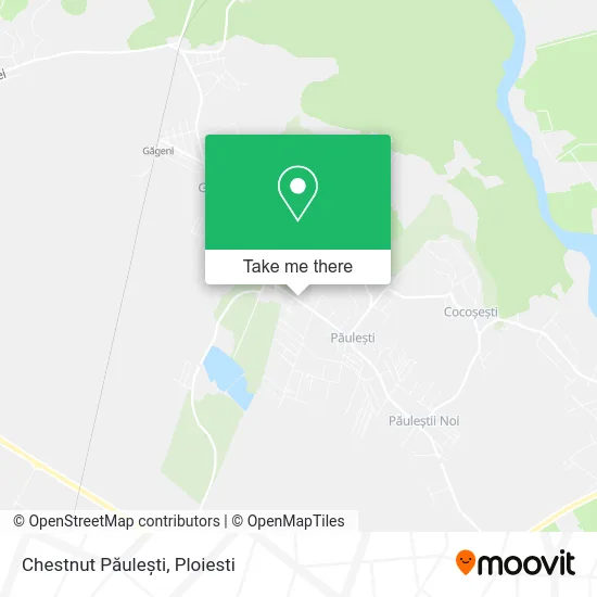 Chestnut Păulești map