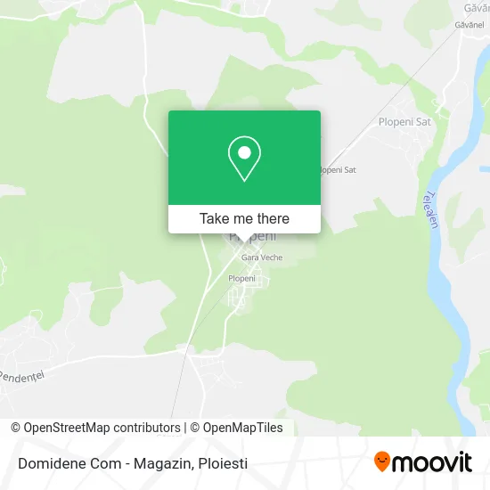Domidene Com - Magazin map