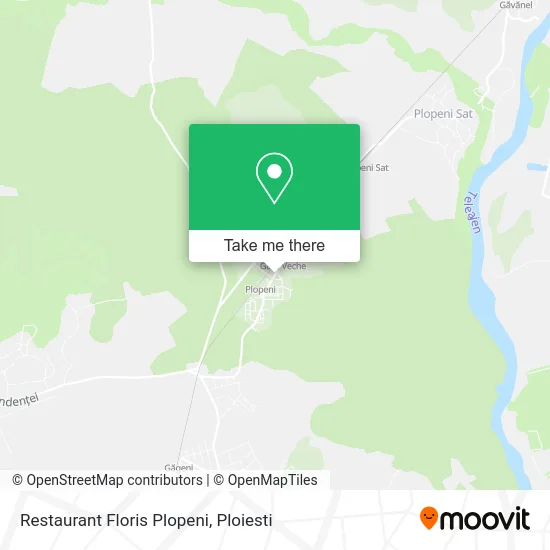 Restaurant Floris Plopeni map