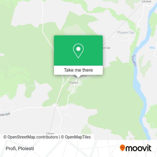 Profi map