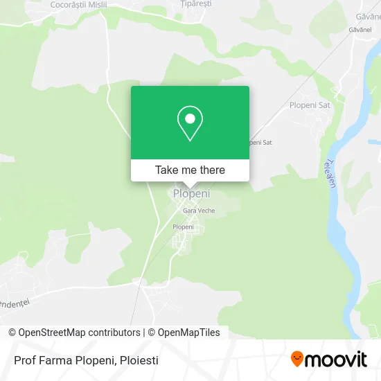 Prof Farma Plopeni map