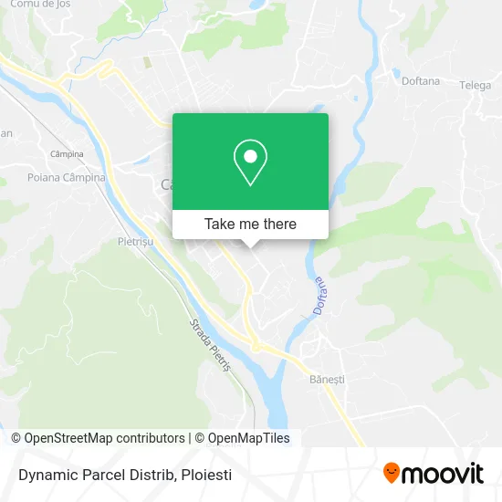 Dynamic Parcel Distrib map