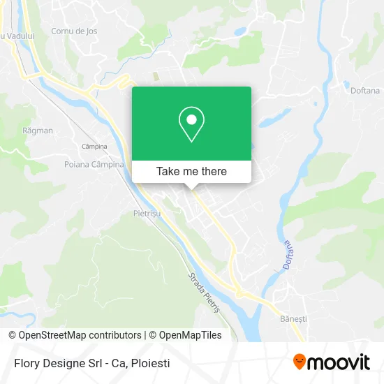 Flory Designe Srl - Ca map