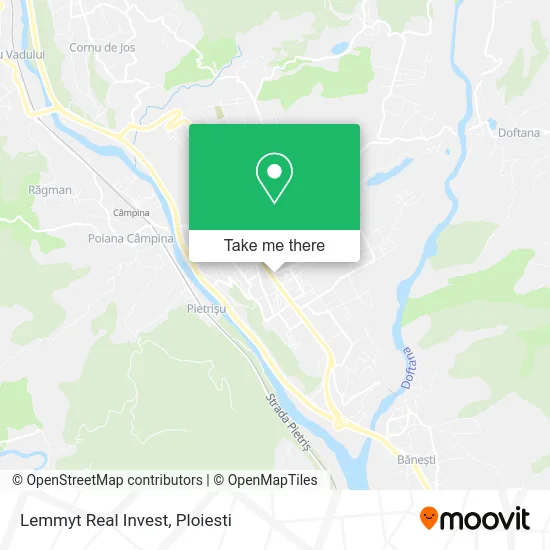 Lemmyt Real Invest map