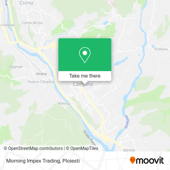 Morning Impex Trading map