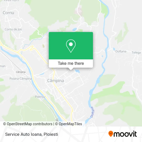 Service Auto Ioana map